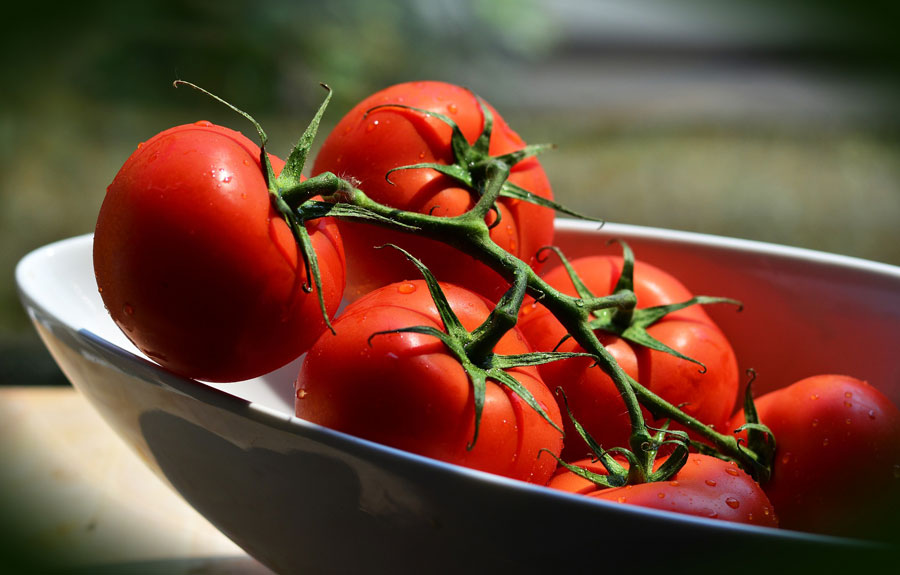 paradajz-slika-1
